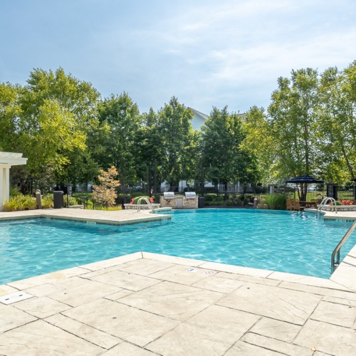 Relax in our infinity saltwater pool Pool and sundeck surrounded by trees