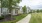 Paved path surrounded by grass and apartment buildings